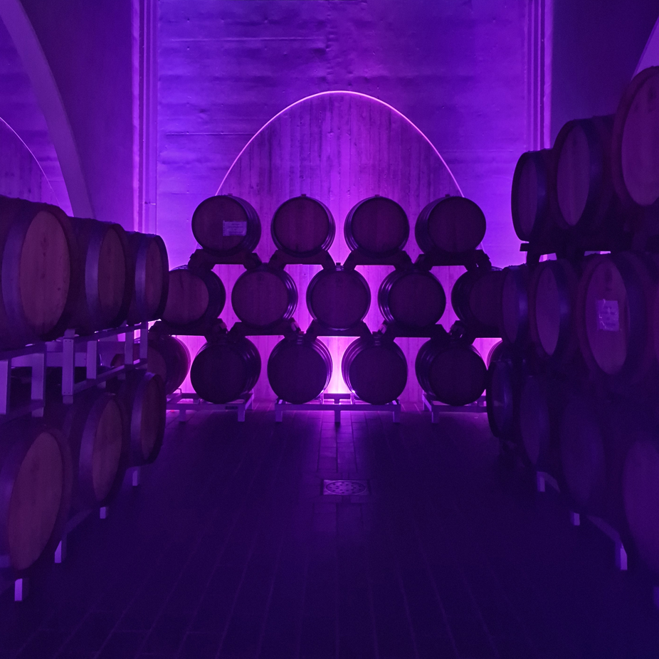 Cantina della tenuta Roveglia in Lugana, illuminata da una luce viola soffusa, con file di botti per la maturazione del vino.