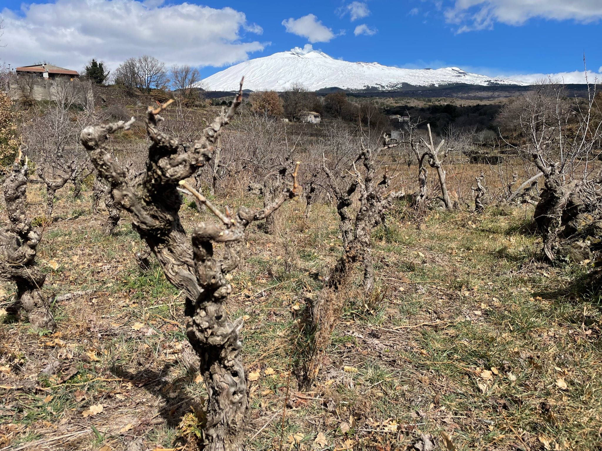 Etna