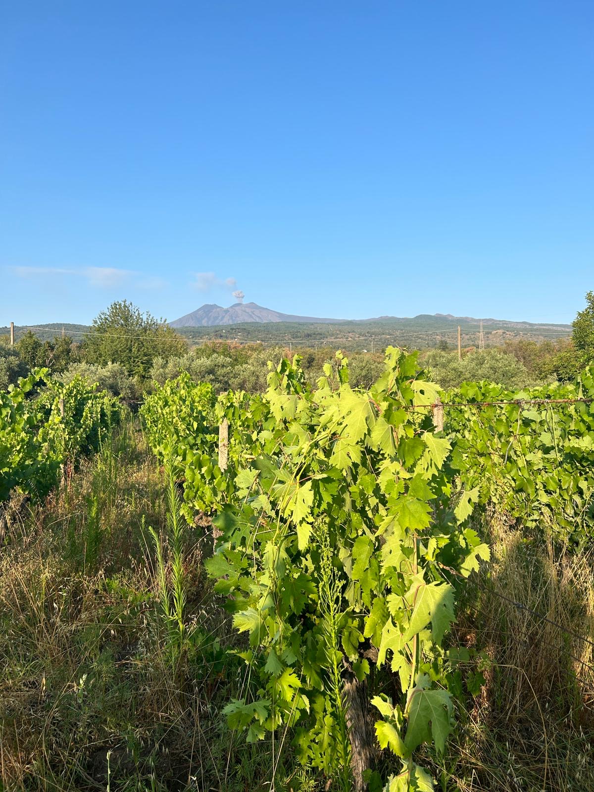etna