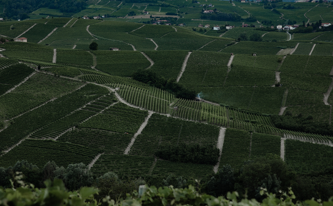 langhe