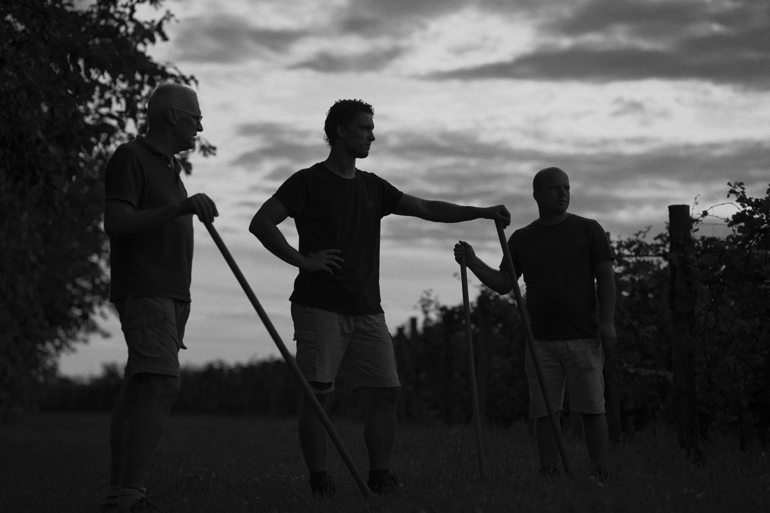 friuli