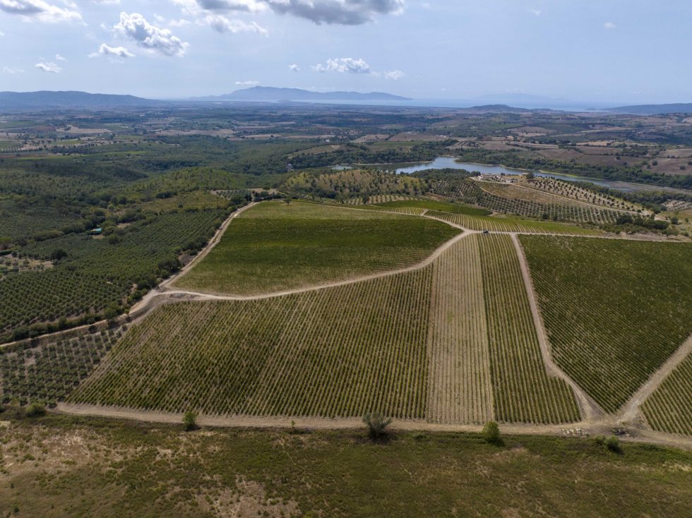 maremma