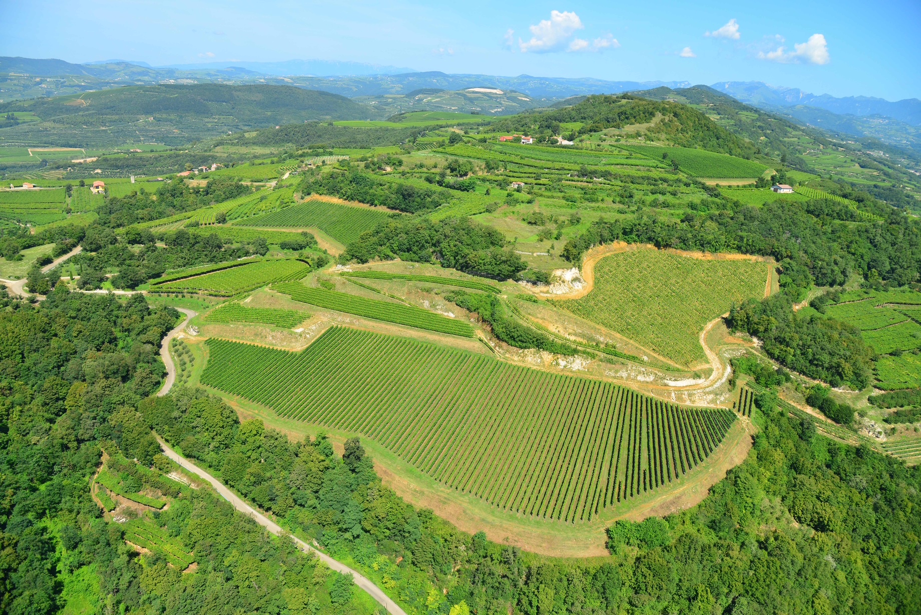 Campo lavei