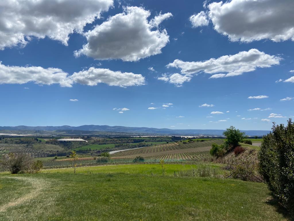terre di giurfo