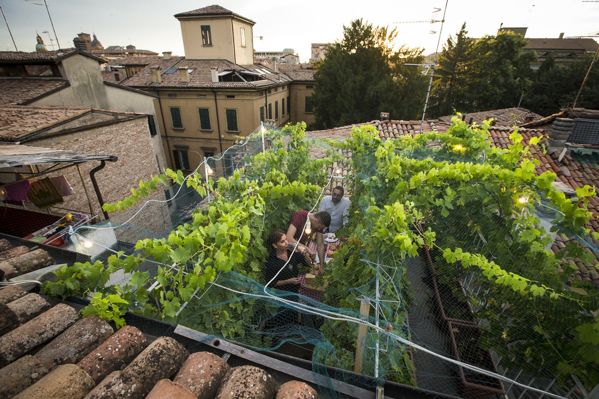 Via Mari 10. Il vigneto più piccolo del mondo