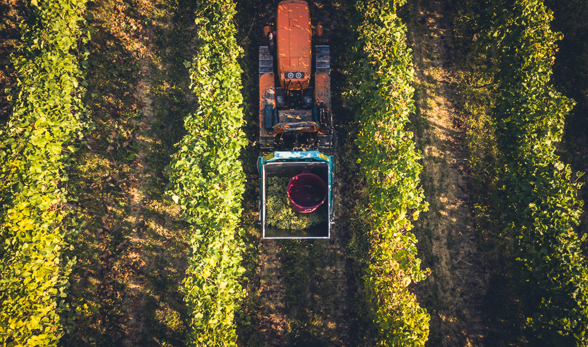 Cantina Torrevilla e il suo Metodo Classico Pas Dosè