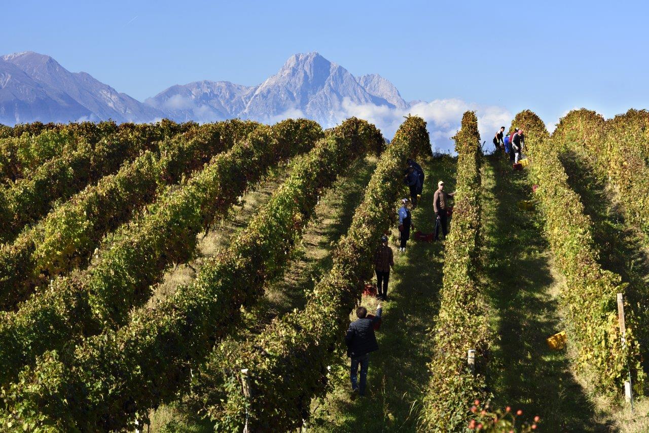 L’Abruzzo alla Slow Wine Fair 2025: 37 cantine in vetrina con il Consorzio Tutela Vini d’Abruzzo