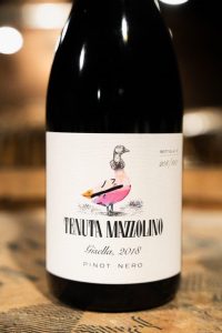 Tenuta Mazzolino: ecco Gisella!