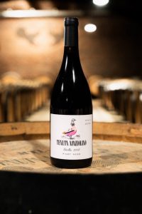 Tenuta Mazzolino: ecco Gisella!