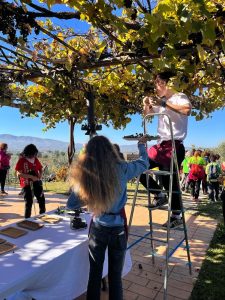 Colle Ciocco di Montefalco: il tettuccio d’oro dell’Umbria