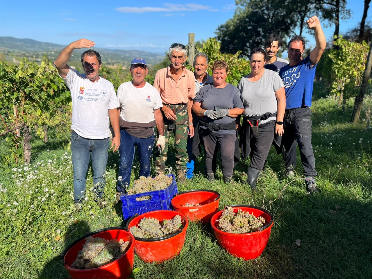 Colle Ciocco di Montefalco: il tettuccio d’oro dell’Umbria