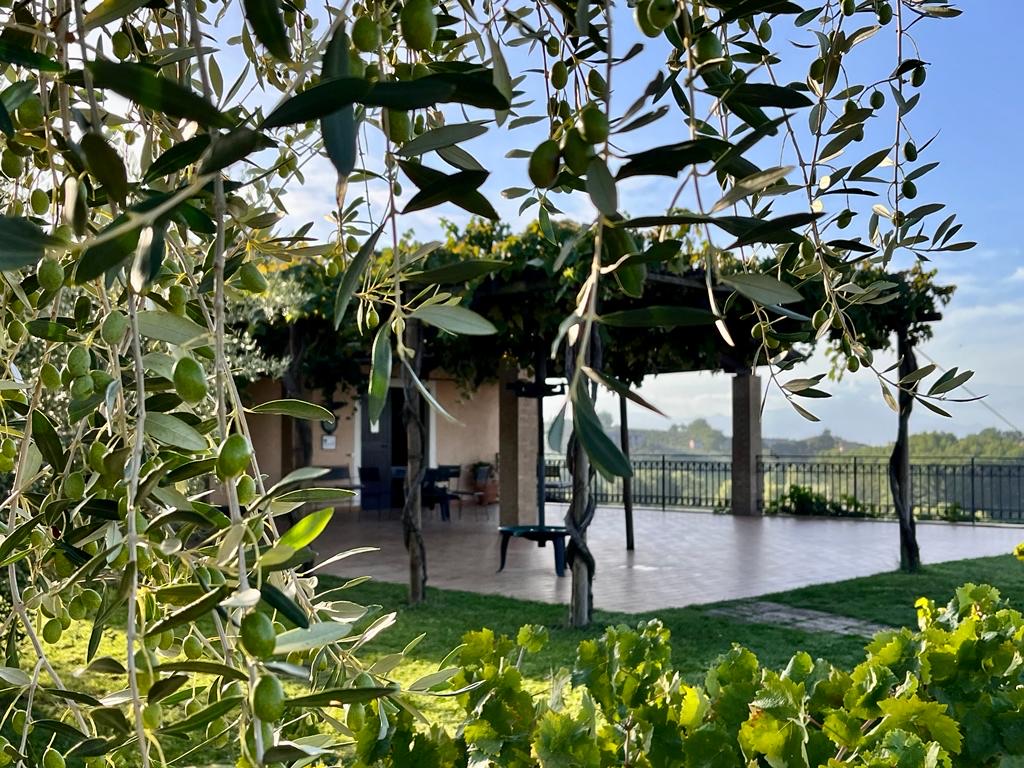 Colle Ciocco di Montefalco: il tettuccio d’oro dell’Umbria