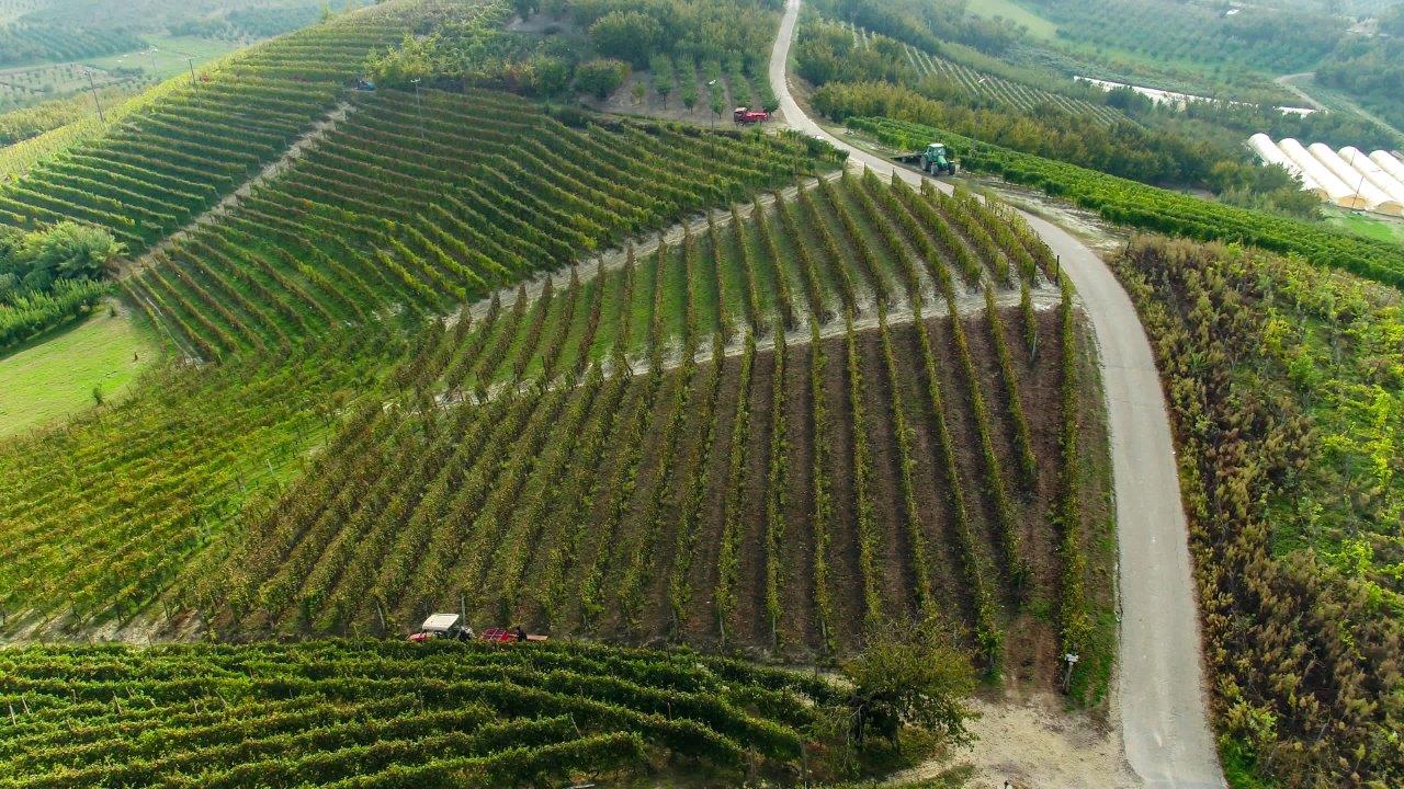 Poderi Moretti. Alessandra e Riccardo, il Roero dei giovani