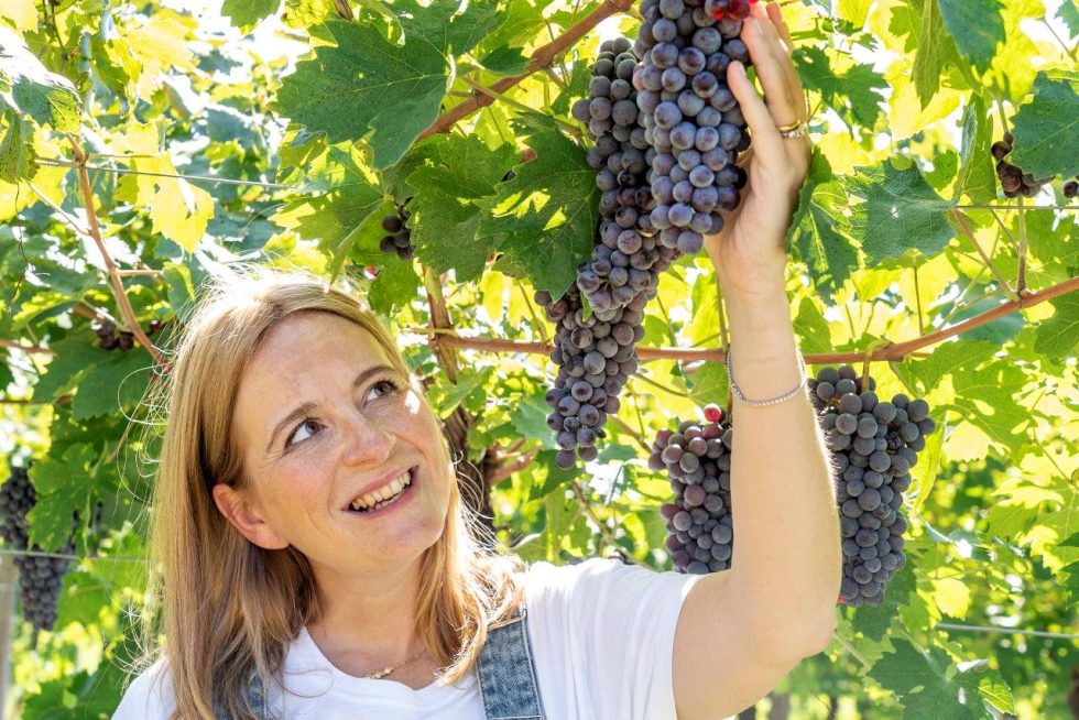 Massimago. Camilla, la rivoluzione gentile della Valpolicella