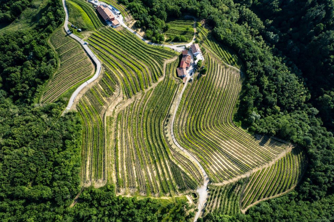 Tenuta Stella a Pitti Taste 2025