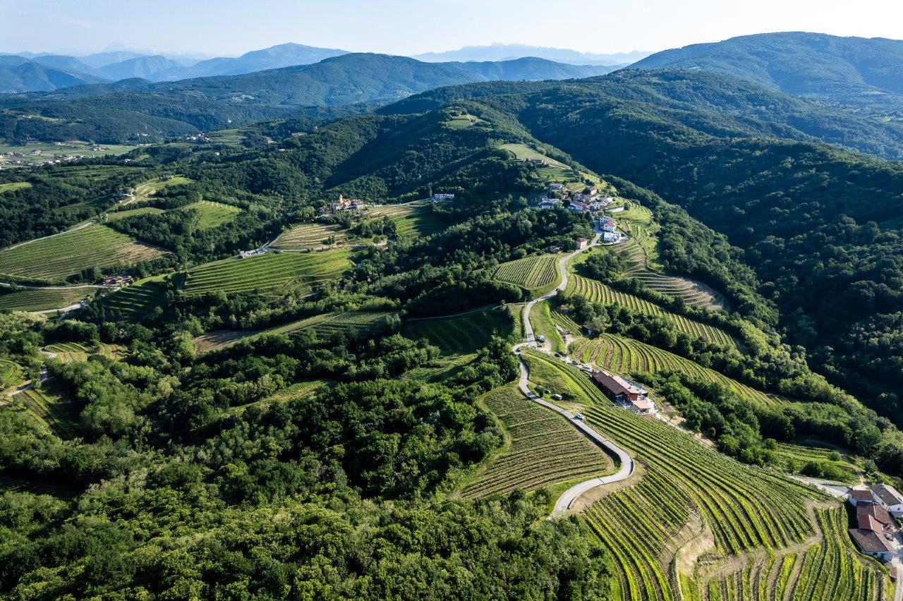 Tenuta Stella a Pitti Taste 2025
