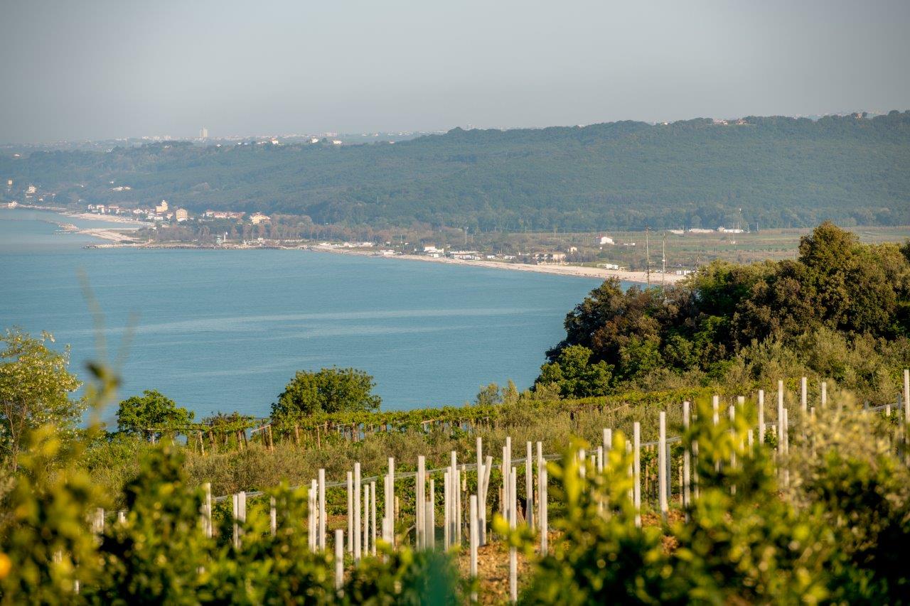 L’Abruzzo alla Slow Wine Fair 2025: 37 cantine in vetrina con il Consorzio Tutela Vini d’Abruzzo