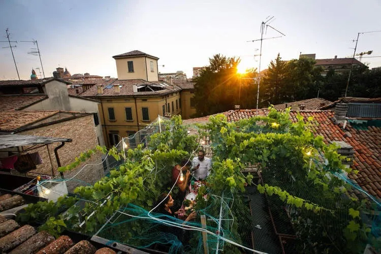 Via Mari 10. Il vigneto più piccolo del mondo
