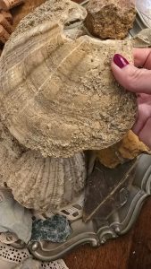 BRUNA e ALESSANDRI: 50 sfumature di Pigato