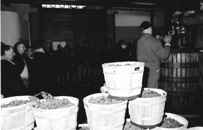 Cavazza porta le vecchie annate a ProWein 2025: un viaggio nel tempo attraverso i vini dei Colli Berici