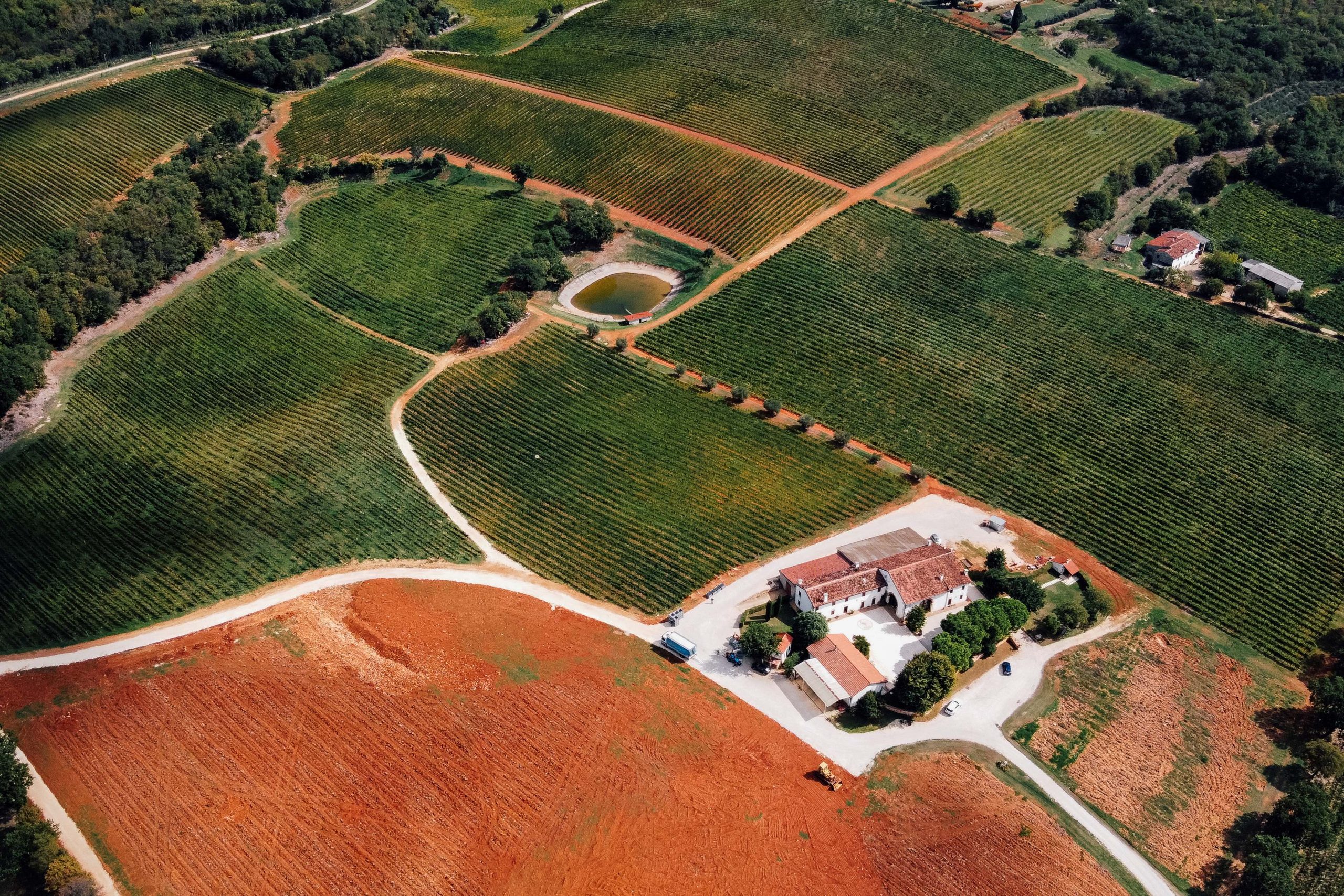 Il vino per la festa del papà? Il Fornetto 2023 di Cavazza, l'identità dei Colli Berici
