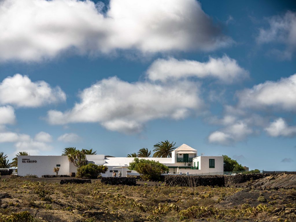 Bodega El Grifo Lanzarote. La Bodega più antica delle Isole Canarie