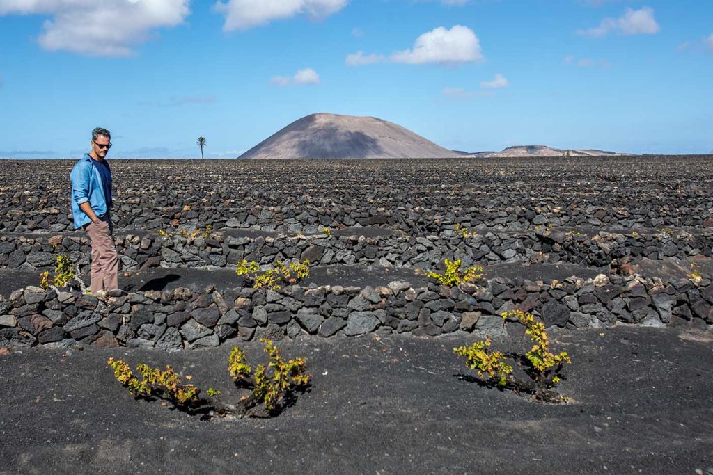 Bodega El Grifo Lanzarote. La Bodega più antica delle Isole Canarie