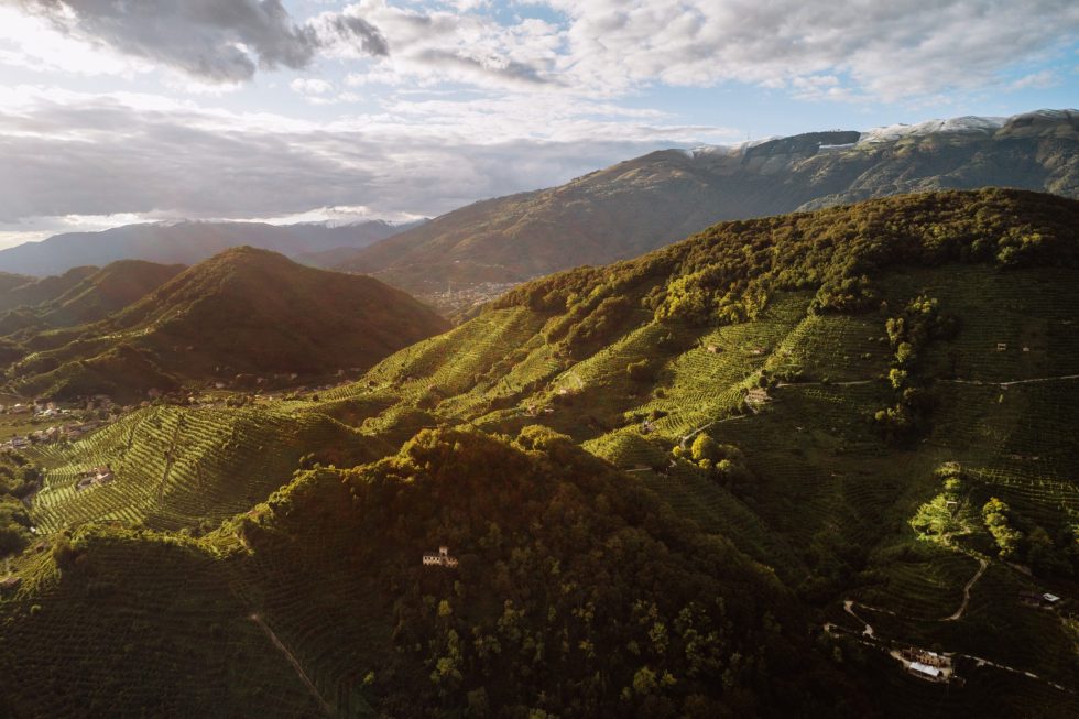Andreola conquista il Best of show Prosecco al prestigioso Mundus Vini 2025