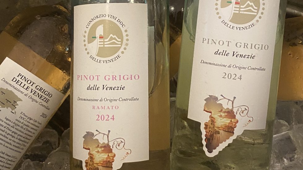 Pinot Grigio DOC delle Venezie. Nuovi percorsi da tracciare in un mercato sempre più sfidante
