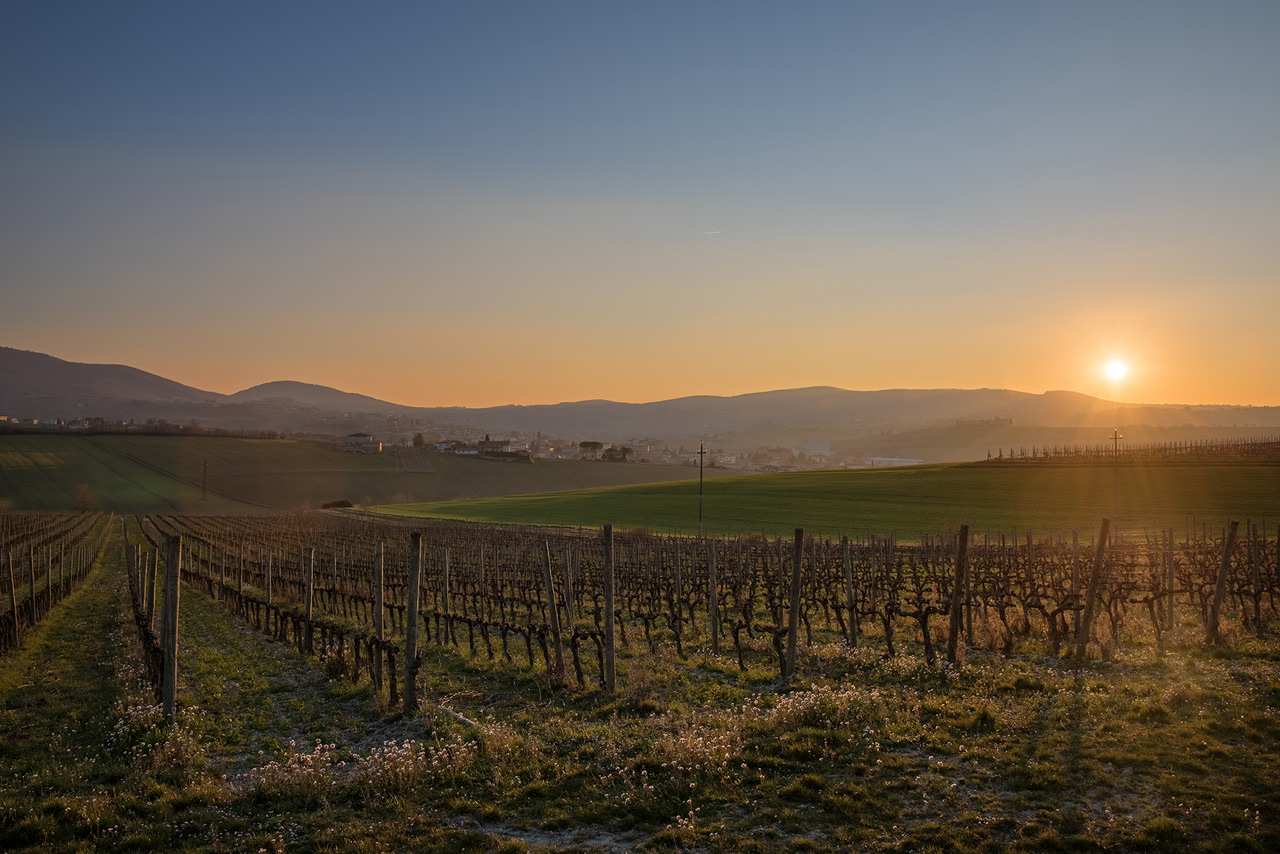 Cantina Scacciadiavoli. Il sogno continua