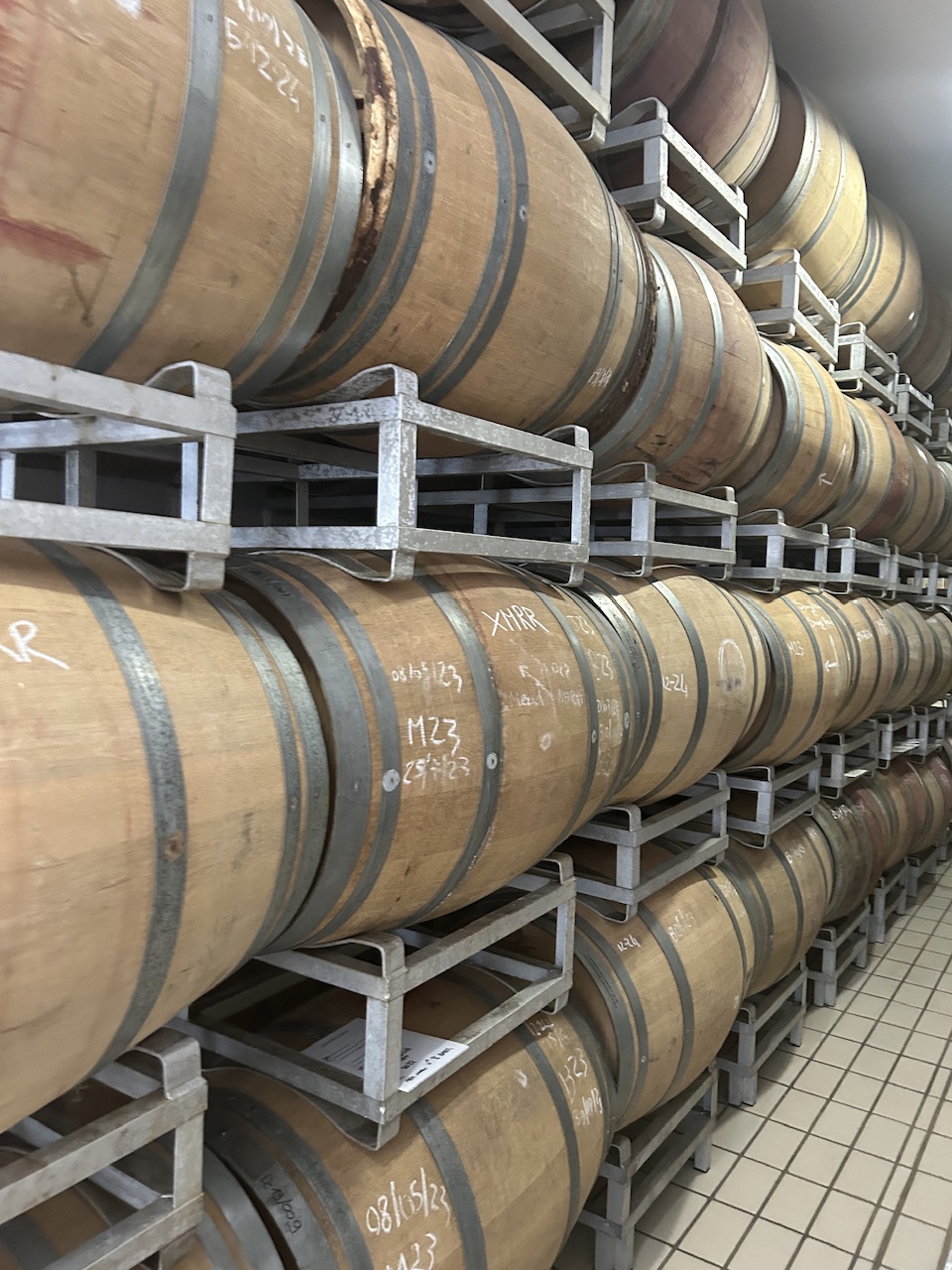 Arnaldo Caprai. Il re del sagrantino