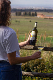 Merumalia. Frascati senza filtri, non solo vino