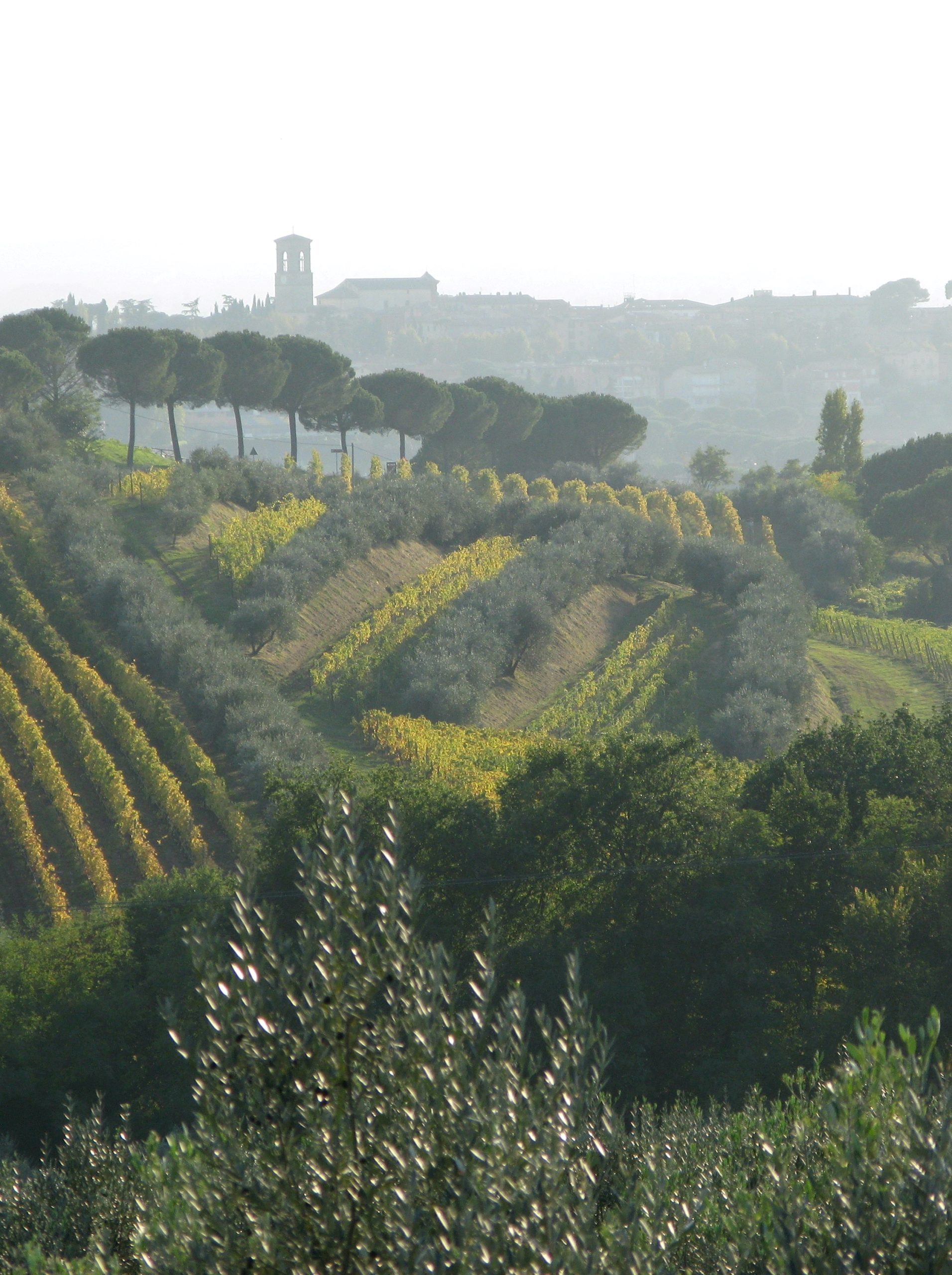 Umbria Top a Prowein 2025