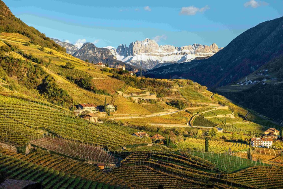 Vini Alto Adige: tutto pronto per il Prowein