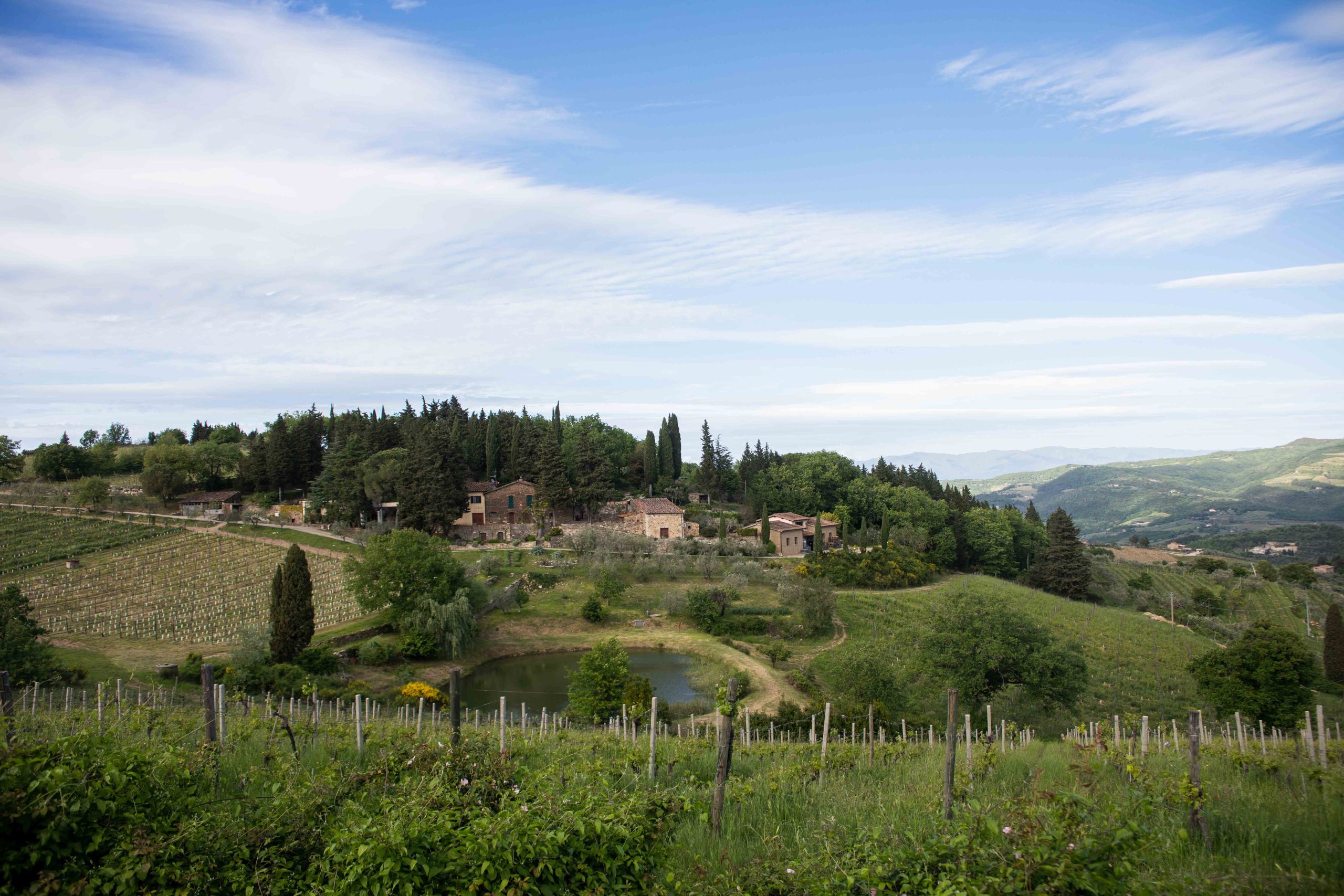 Vecchie Terre di Montefili è Anfiteatro: il simbolo di un'eredità senza tempo