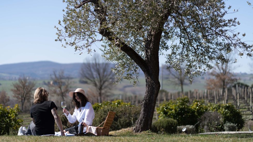 Primavera in cantina con il Movimento Turismo del Vino Umbria