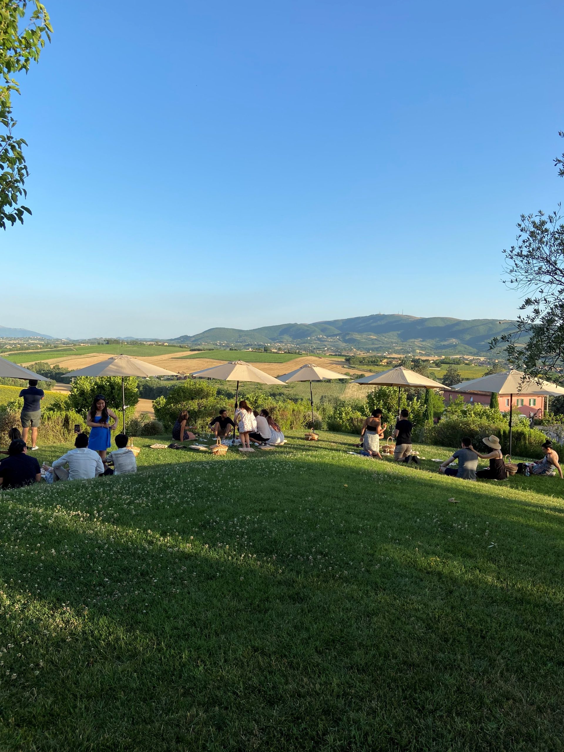 Primavera in cantina con il Movimento Turismo del Vino Umbria