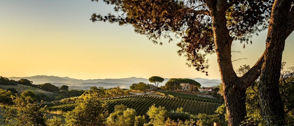 Il Fiano parla toscano