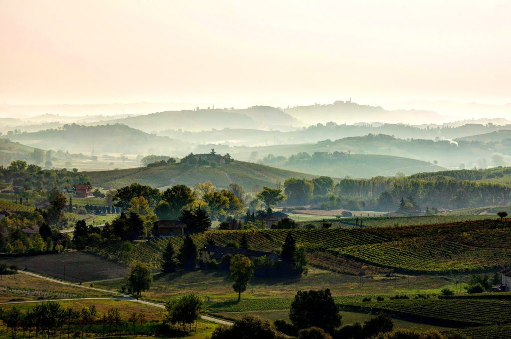 Identità, territorio e grandi vini