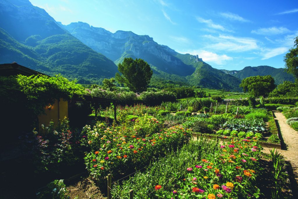 San Leonardo. La Storia attraversa il vino
