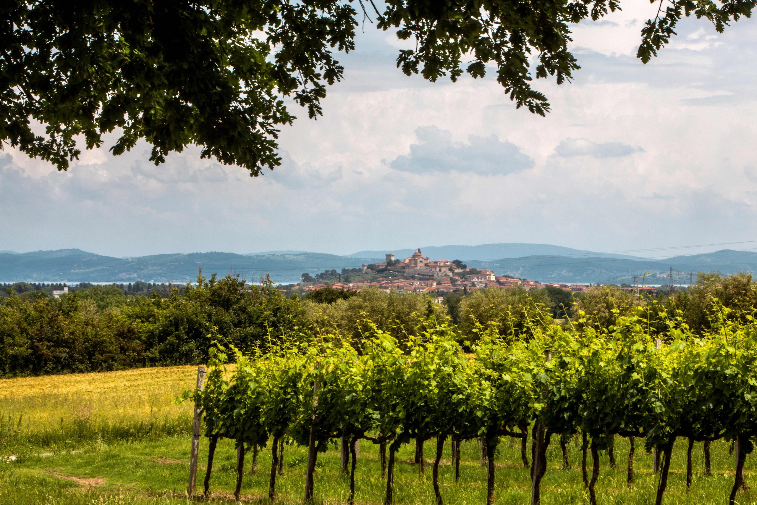 Umbria Top a Prowein 2025