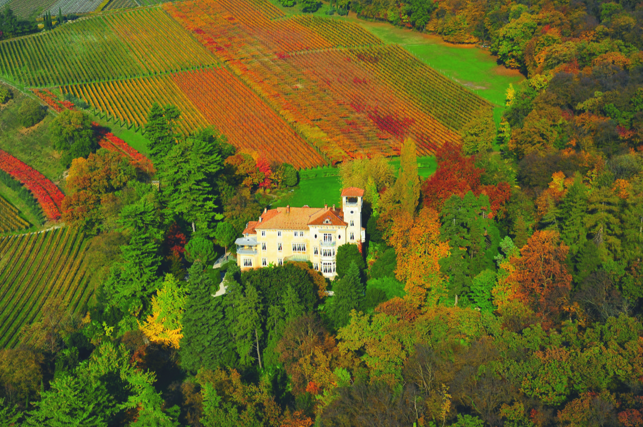 San Leonardo. La Storia attraversa il vino