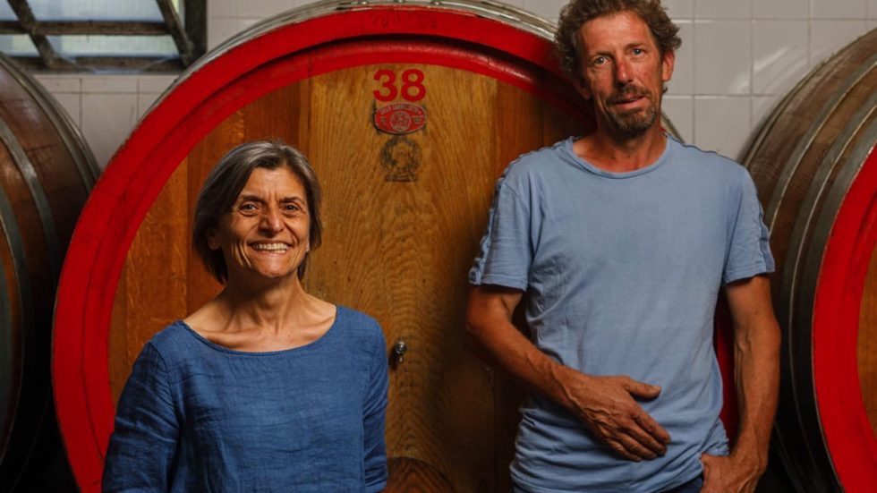 Azienda Vitivinicola Di Gaspero. Flavia e la traiettoria circolare