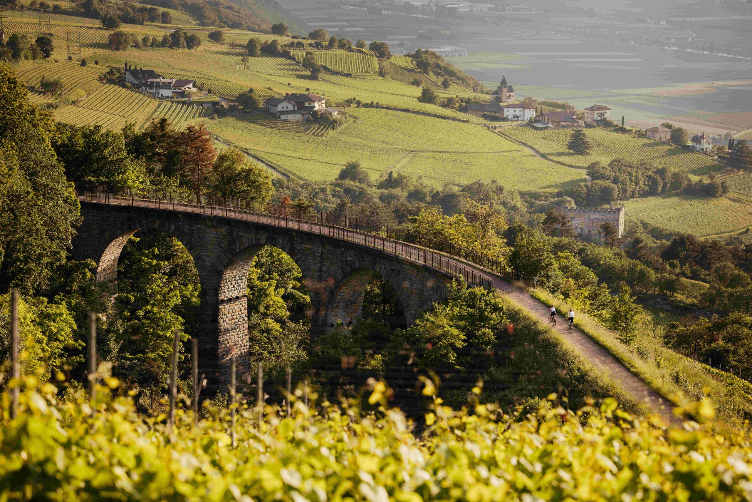 Vini Alto Adige. Un Vinitaly da incorniciare