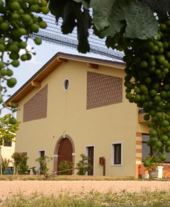 Fasoli Gino. Un secolo di vino per l'azienda veronese pioniera del biologico