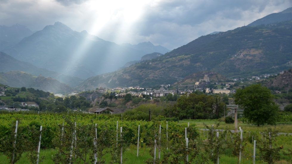 Vinitaly 2025. Più visibilità al contesto geografico del Nord-Ovest per il Consorzio valdostano