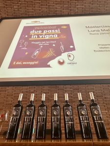 VINARIO4 presenta: DUE PASSI IN VIGNA e il LUNA MATER in verticale