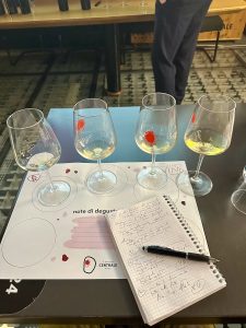 VINARIO4 presenta: DUE PASSI IN VIGNA e il LUNA MATER in verticale