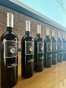 VINARIO4 presenta: DUE PASSI IN VIGNA e il LUNA MATER in verticale