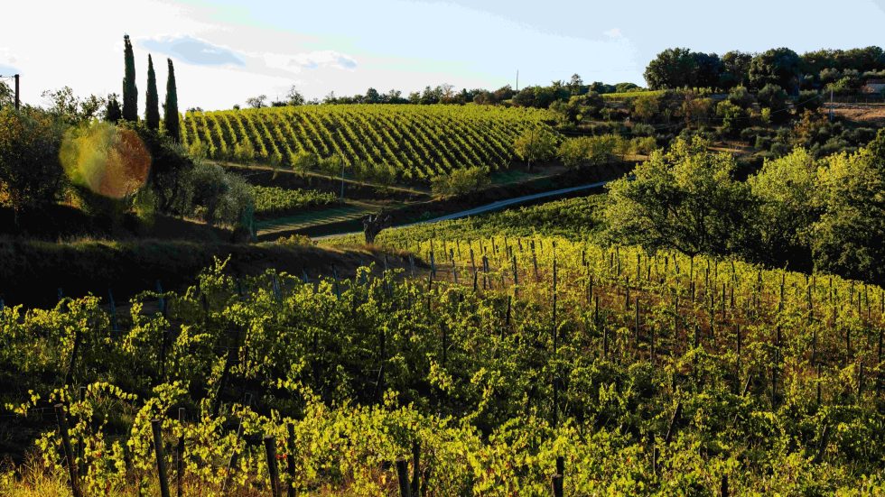 Fèlsina a Vinitaly 2025